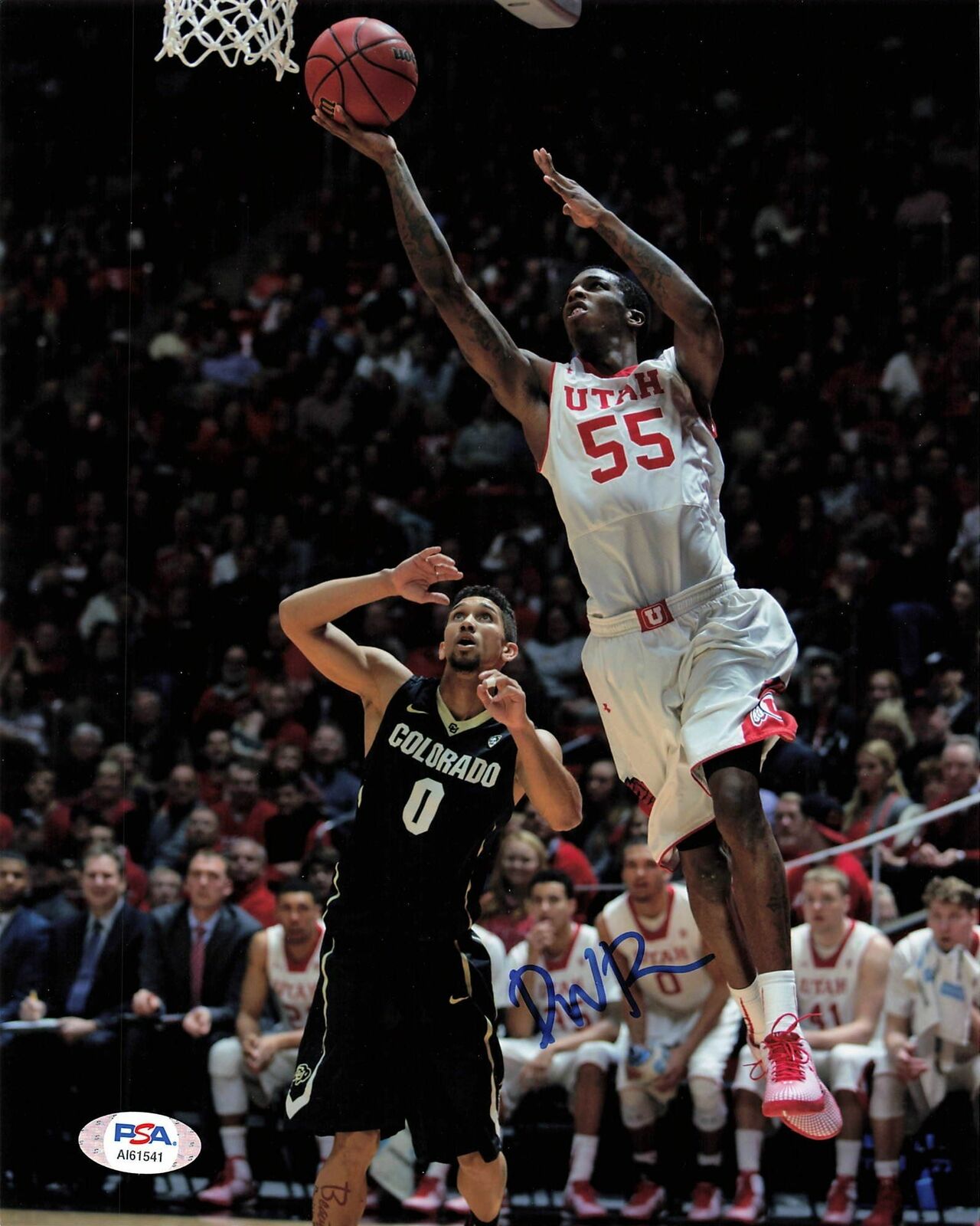 Delon Wright signed 8x10 Photo Poster painting PSA/DNA Utah Utes Autographed Mavericks