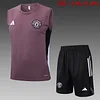 2025/2026 Manchester United Pre-Match Training Gray Purple Vest+Shorts Football1:1 Thai Quality