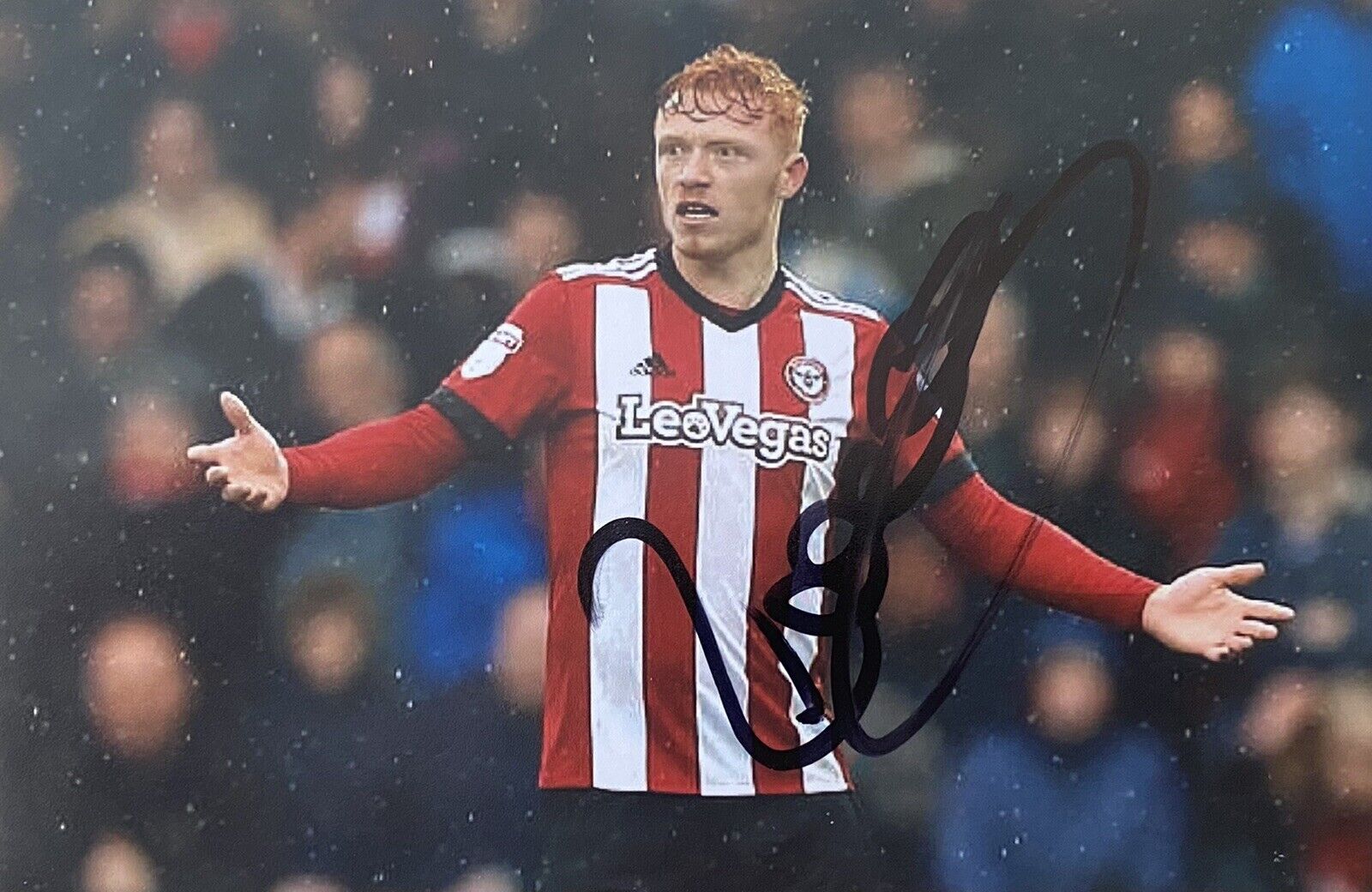 Ryan Woods Genuine Hand Signed Brentford 6X4 Photo Poster painting