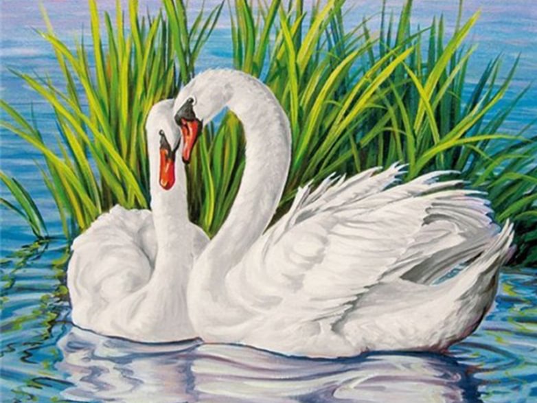 Diamond Painting - Full Round/Square Drill - Swan(30*40 - 50*60cm)