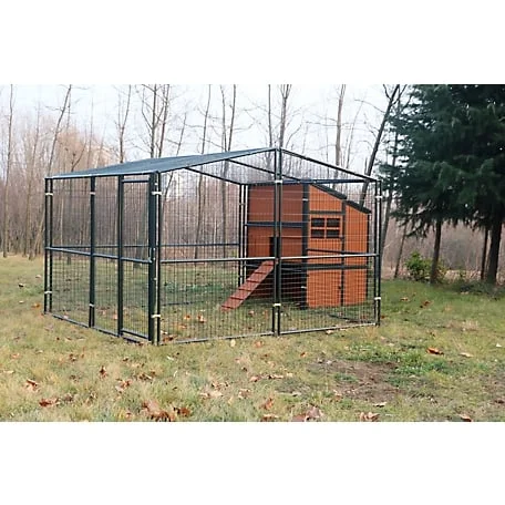 🔥kukelife🔥Docenin™Limited Time Discounts-headroom and ventilation henhouse