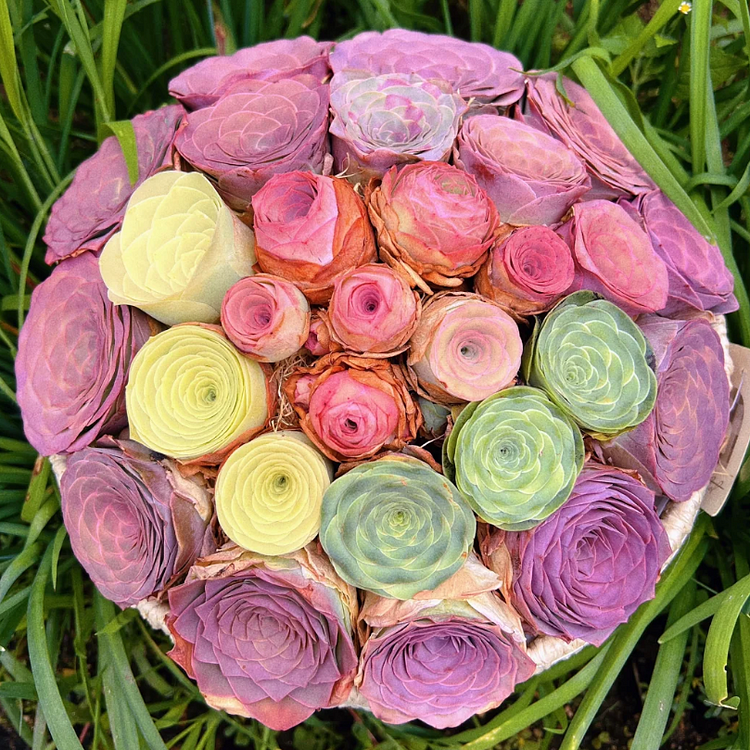 🌹Mountain Rose - Perennial Ornamental Plants - Succulent Plants - Home Bonsai - Home Garden