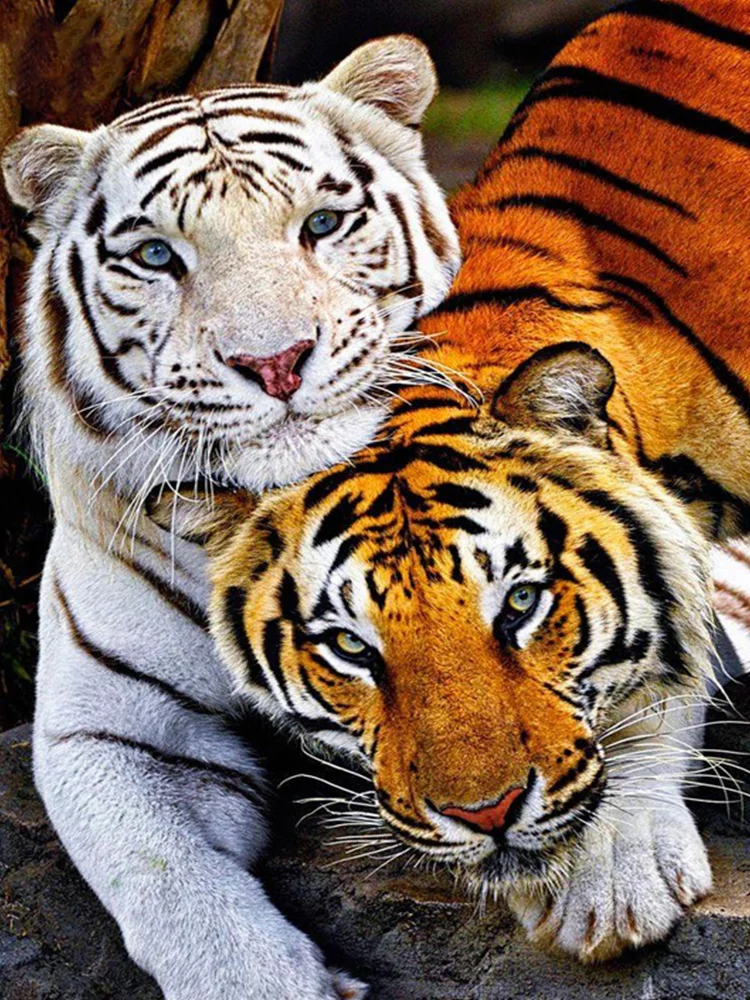 Diamond Painting - Full Round/Square Drill -Tiger(30*40 - 50*60cm)