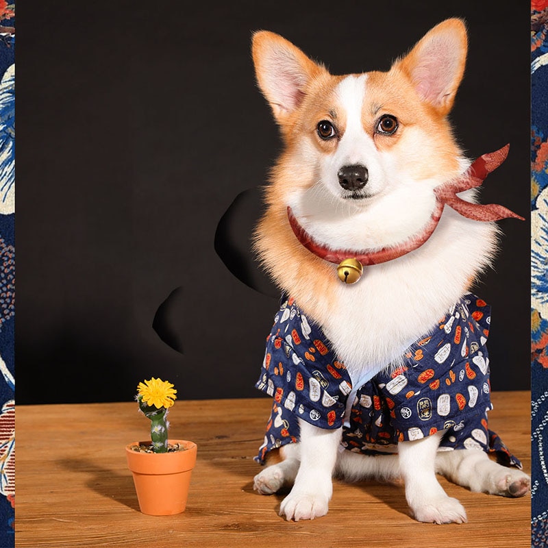 Spring & Summer Teddy Chai Dog Medium Sized Small Dog Clothes