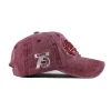 Fashion Baseball Cap Embroidery Snapback Hat Mesh Cap