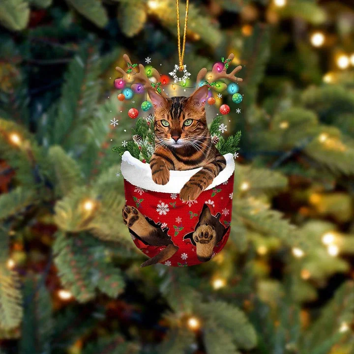 Tiger Cat In Snow Pocket Christmas Ornament.