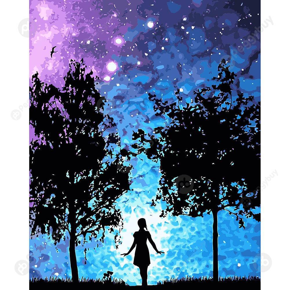 

40*50CM Paint By Numbers-Starry Sky, 501 Original