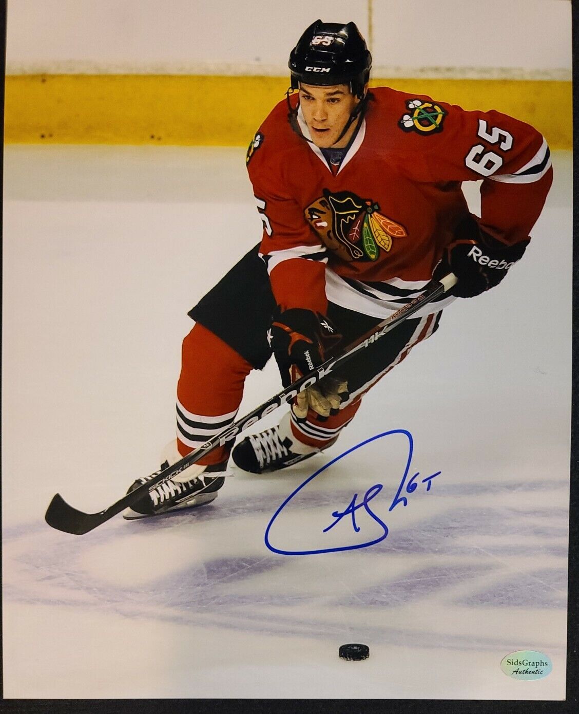 ANDREW SHAW SIGNED CHICAGO BLACKHAWKS 8X10 Photo Poster painting 8X10 Photo Poster painting- SidsGraphs COA/HOLO