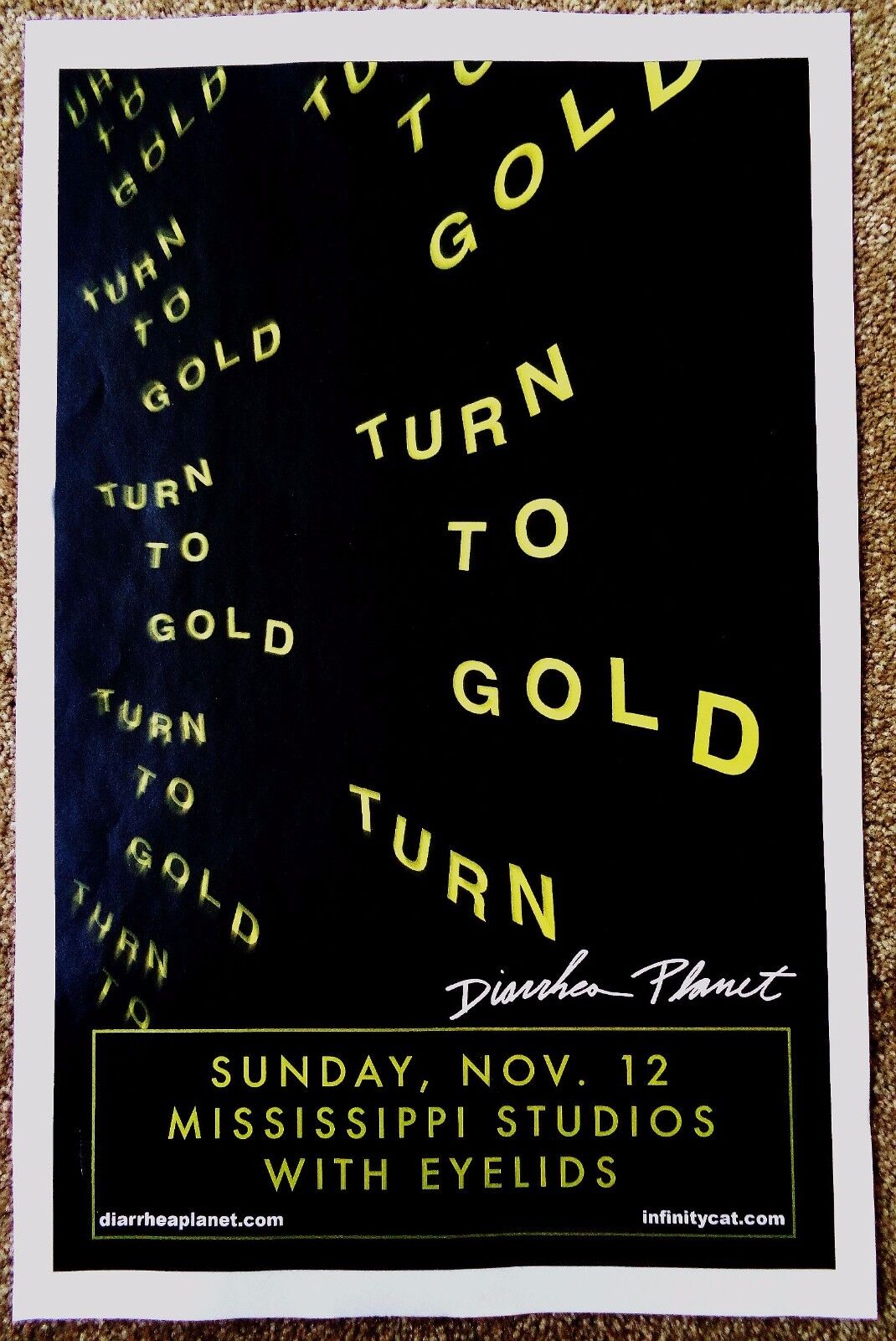 DIARRHEA PLANET 2017 Gig POSTER Portland Oregon Concert Turn To Gold