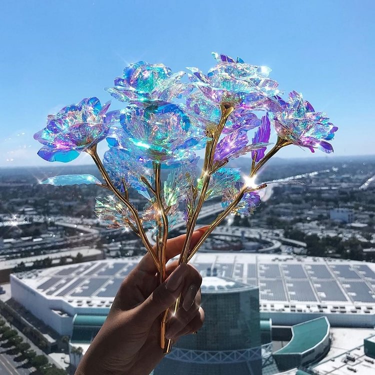 Sparkly Rose