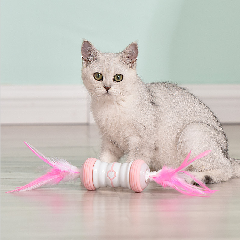 Rechargeable Pet Cat Interactive Toys