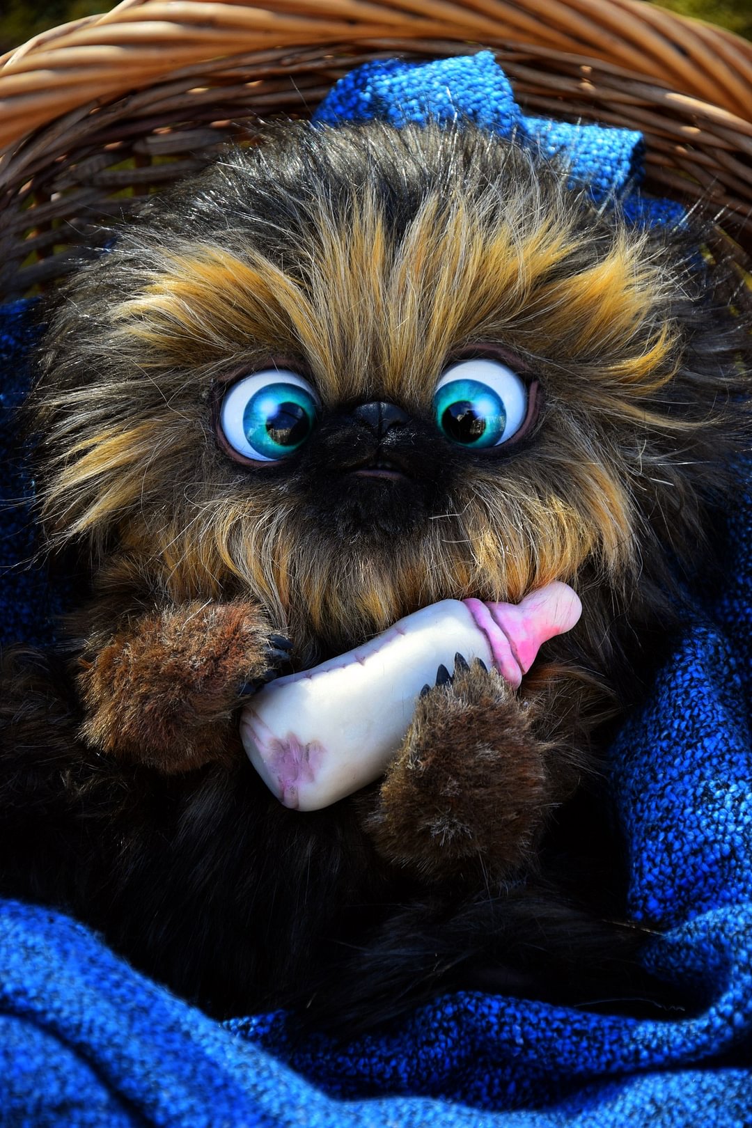 Baby Chewie
