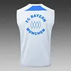 2025/2026 Bayern Munich Pre-Match Training Grey Vest+Shorts Football1:1 Thai Quality