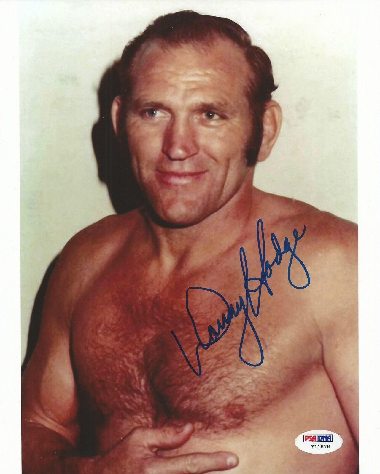 Danny Hodge Signed 8x10 Photo Poster painting PSA/DNA COA NWA WWE Wrestling Picture Autograph