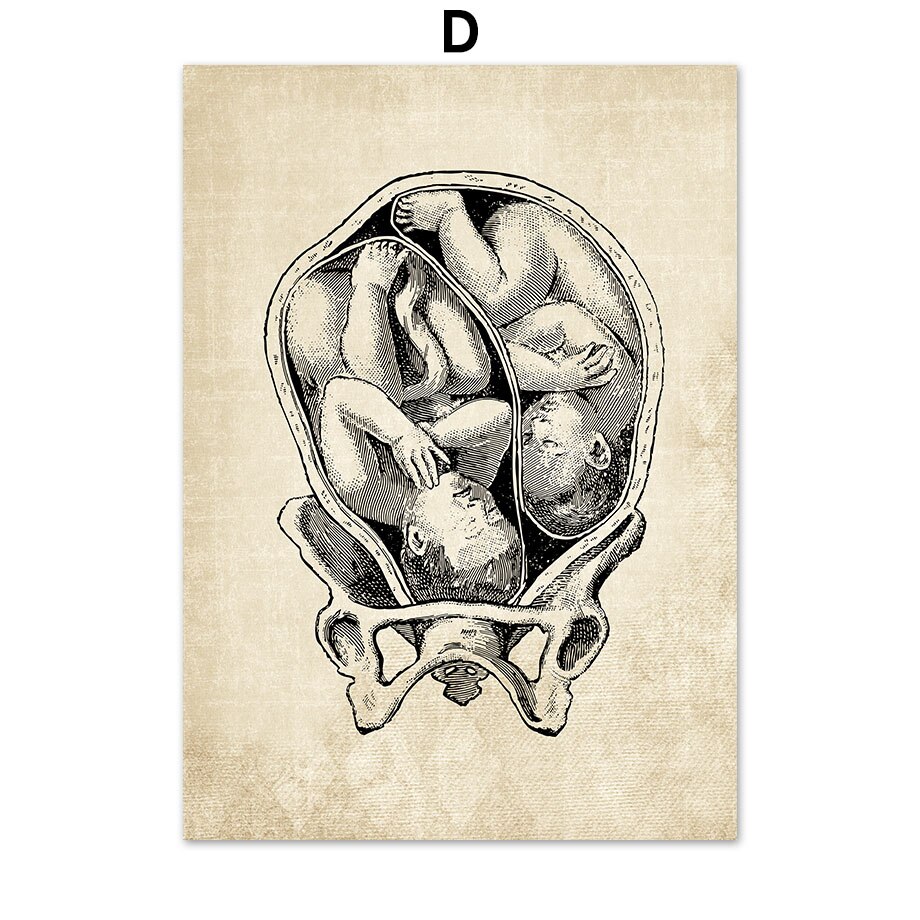 Wall Art Canvas Painting Anatomy Skeleton Nordic Posters And Prints Vintage Wall Pictures For Hospital Doctor Office Decor