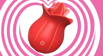 realistic evelyn sex doll Detailed Instructions for Use Rose Vibrators