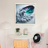 Feather Aurora-11CT Stamped Cross Stitch 45*45cm/17.72*17.72in tapestrymarket