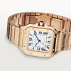 SANTOS DE CARTIER WATCH WGSA0031