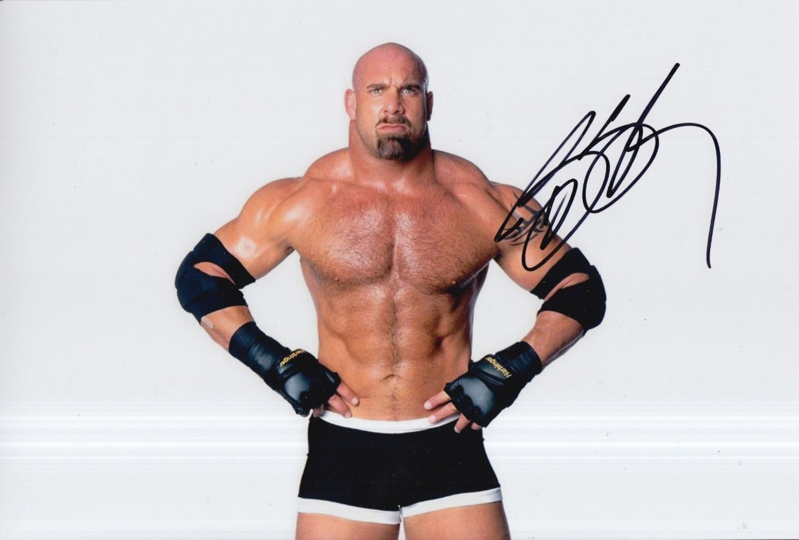 Bill Goldberg Wrestler Hand Signed 12x8 Photo Poster painting WWE.