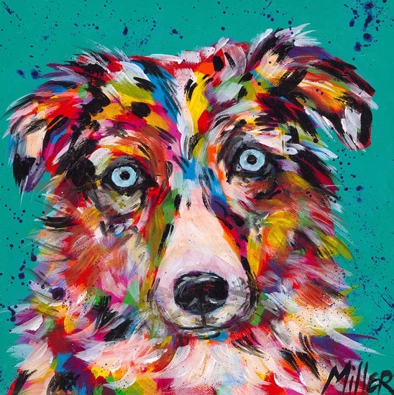 

Mini Aussie Dog – Paint By Numbers - 40*50CM, 501 Original