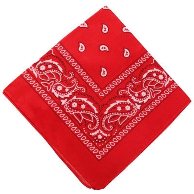 Unisex Classic Style Printing Eaveless Kerchief