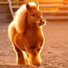 🐎NICOO &ndash; Můj realistick&yacute; robotick&yacute; pon&iacute;k, stejně jako ten skutečn&yacute;!