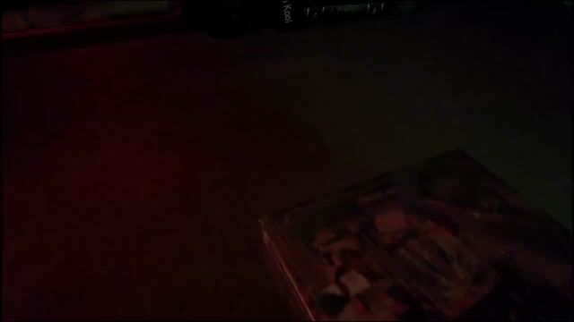 DIY Wizarding World Booknook（Free shipping）