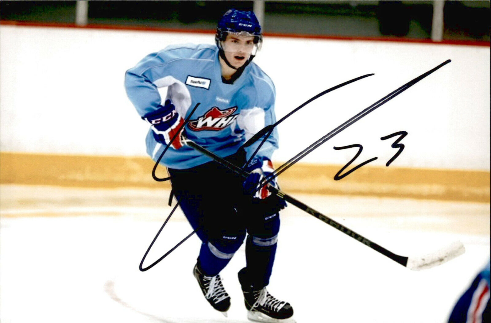 Sam Steel SIGNED 4x6 Photo Poster painting REGINA PATS / ANAHEIM DUCKS #5