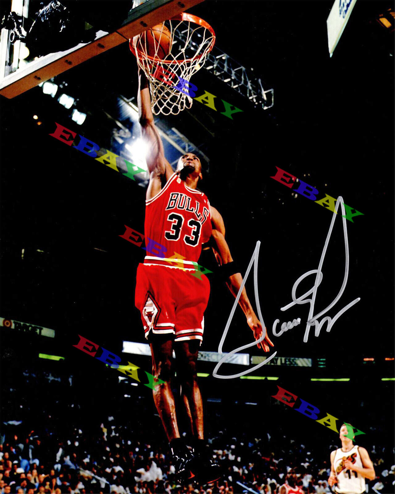 SCOTTIE PIPPEN Bulls Slam Dunk Signed 8x10 Autographed Photo Poster painting Reprint