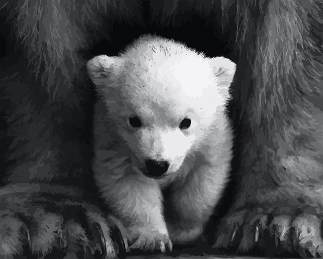 

Cute Little White Bear – Paint By Numbers - 40*50CM, 501 Original