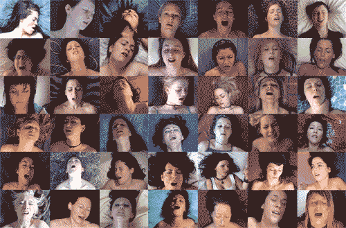 COD单页系统建站,联系QQ:494906791/微信:Cod_web