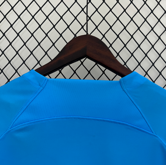 2024 Netherlands Special Edition Football Shirt Thai Quality