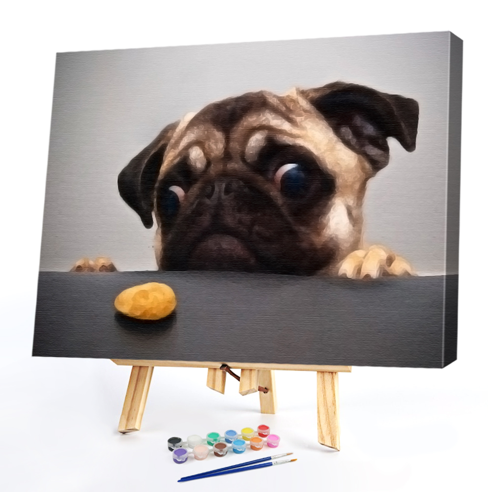 

40*50CM Paint By Numbers-Frightened Dog, 501 Original