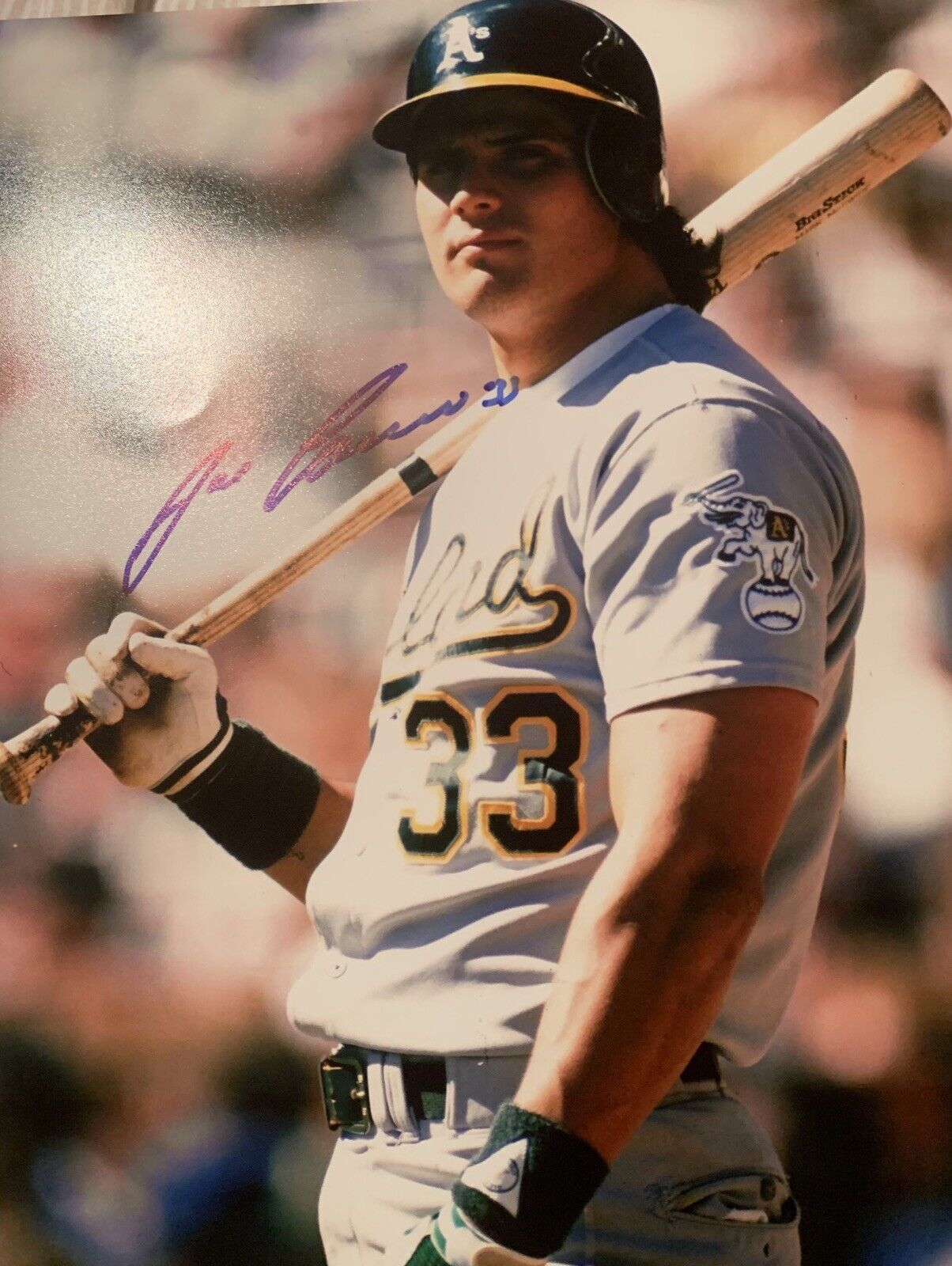 Jose Canseco Signed 8x10 Photo Poster painting Pic Auto A’s