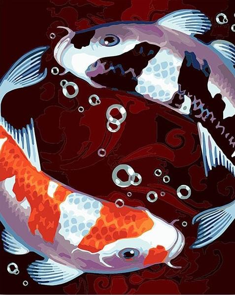 

Two Koi Fishes – Paint By Numbers - 40*50CM, 501 Original