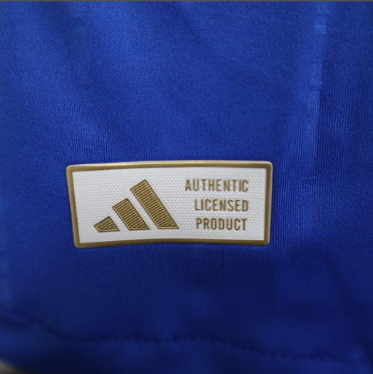 2024 Argentina Away Player Version Football T-Shirt Thai Quality