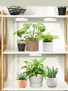 Full Spectrum Ceiling Grow Light 3/9/12H Timer LED Plant Light for Indoor Plants