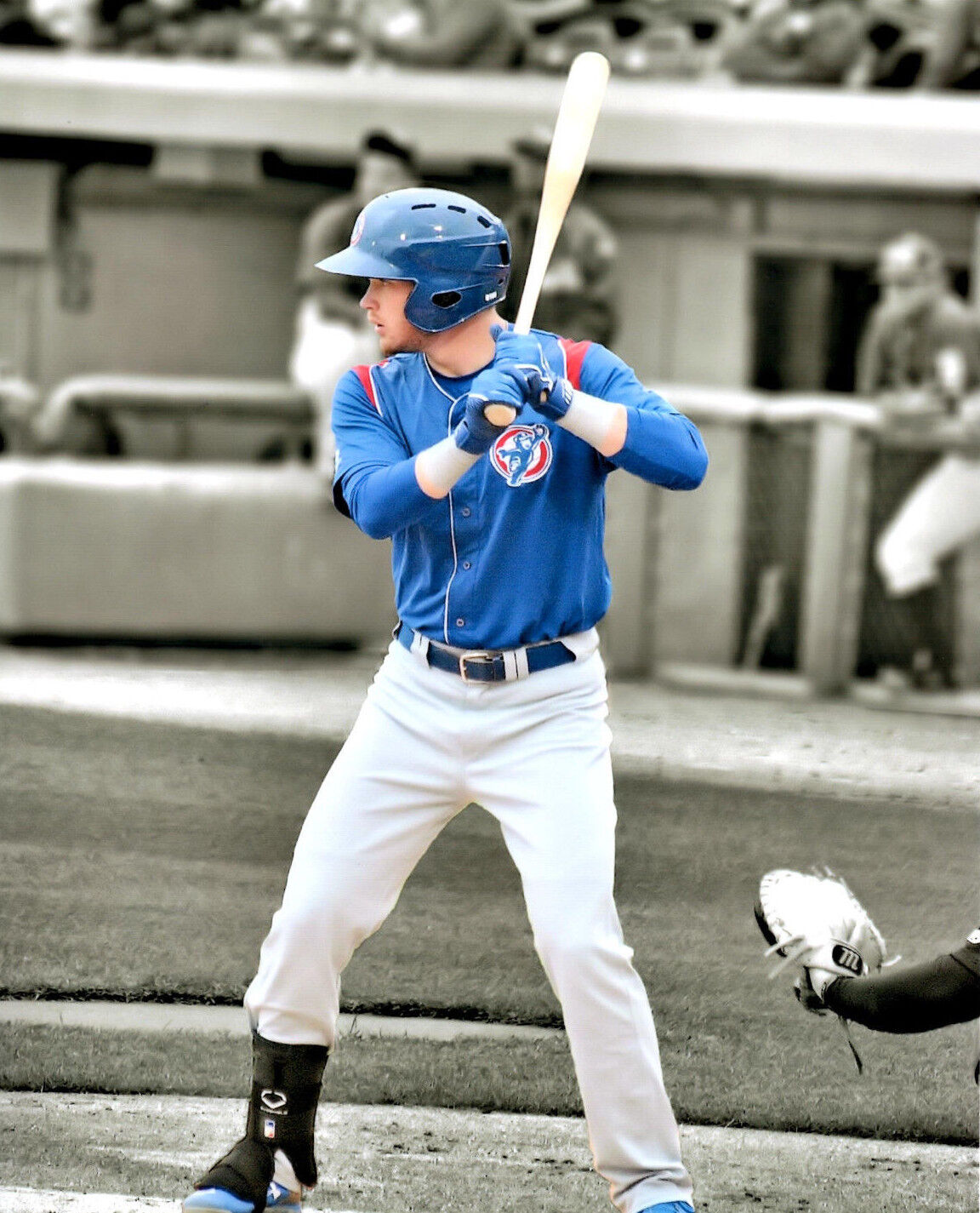 Ian Happ Chicago Cubs prospect SPOTLIGHT 8x10 Photo Poster painting South Bend Cubs