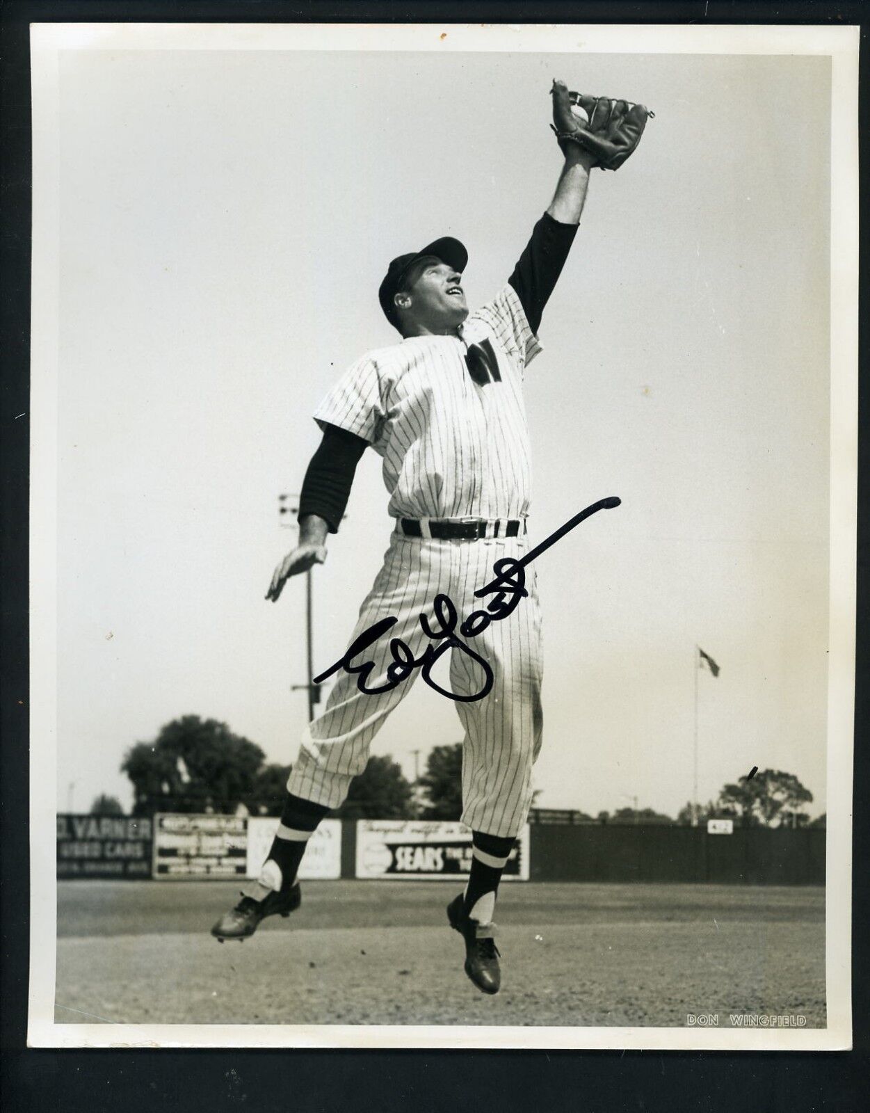 Eddie Yost Signed Type 1 Don Wingfield 8 x 10 Press Original Photo Poster painting Senators