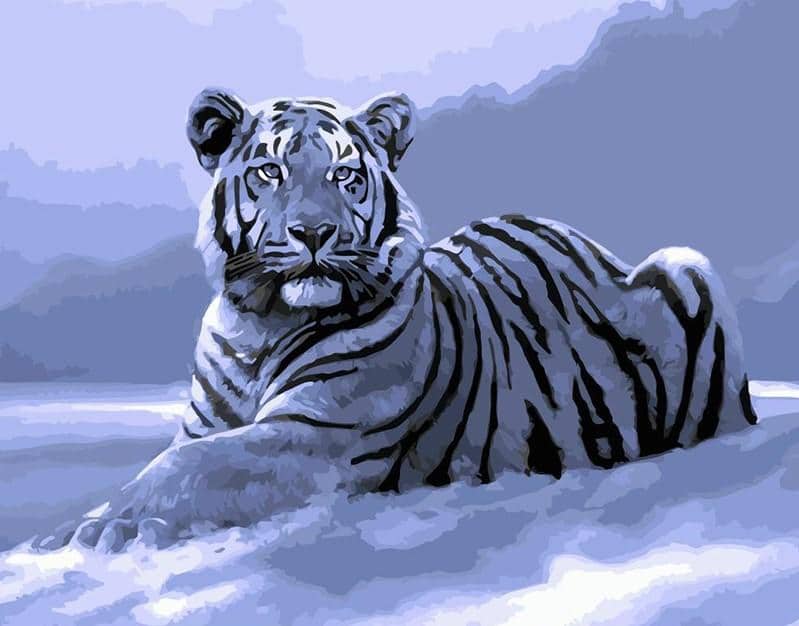 

White Tiger Laying in Snow – Paint By Numbers - 40*50CM, 501 Original