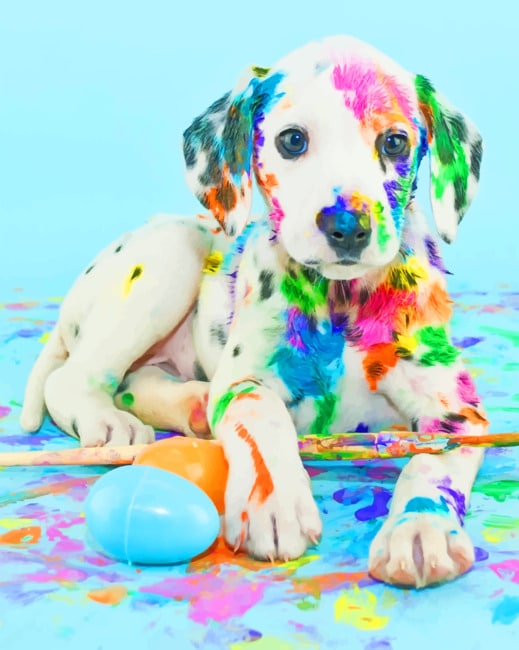 

Colorful Puppy – Paint By Numbers - 40*50CM, 501 Original