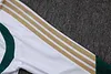 Joyfball 2026/2027 Kids Size Italy Half-Pull Training Suit white Soccer Shirt