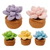4Pcs Potted Plants Crochet Kit DIY Crochet Starter Kit Crochet Set for Beginners