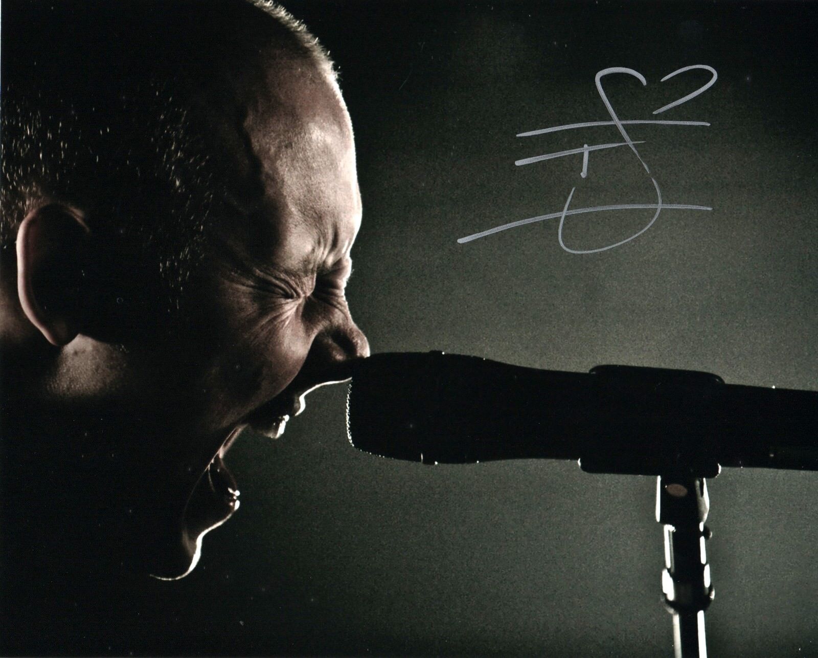 Isaac Slade of The Fray band REAL hand SIGNED 8x10 Photo Poster painting #1 COA Autographed