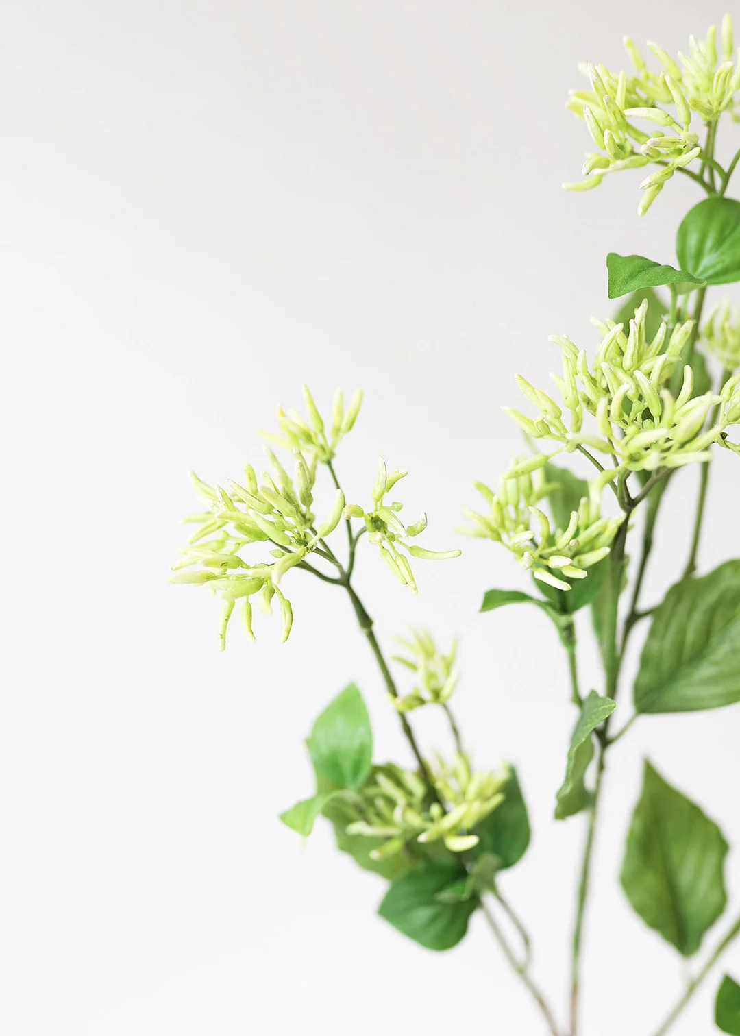 Fake Spring Seeded Dogwood Foliage - 36"