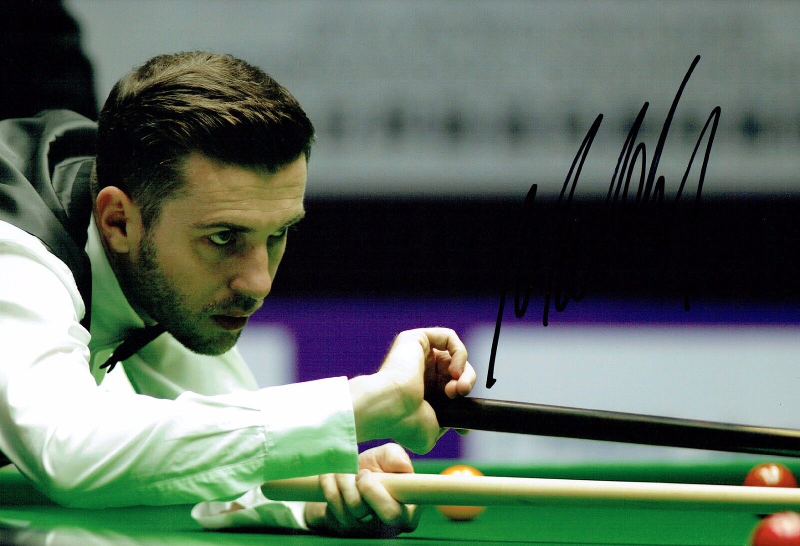Mark SELBY 2016 SIGNED 12x8 Photo Poster painting Autograph COA AFTAL UK Championship Winner