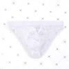 Men's Sexy Low Rise Mesh Bikini Briefs