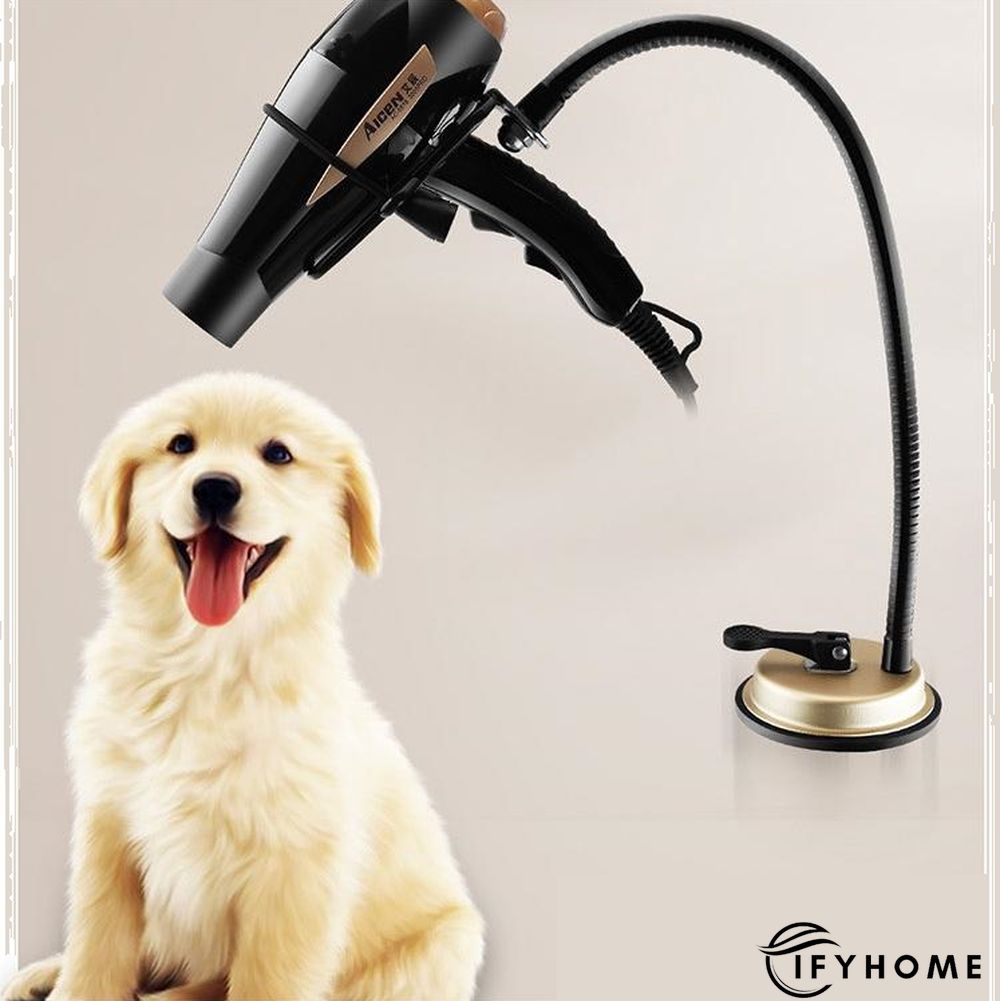 Lazy hair dryer suction cup bracket | IFYHOME