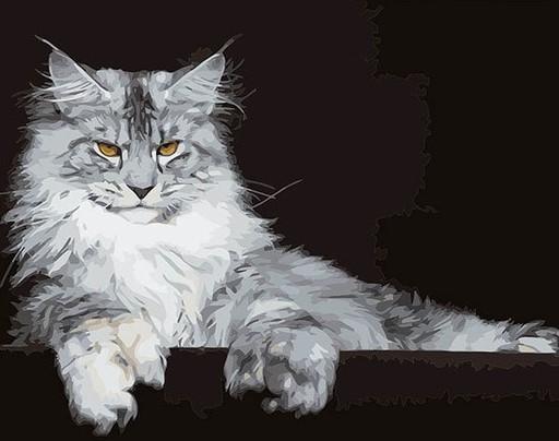 

Maine Coon Cat – Paint By Numbers - 40*50CM, 501 Original