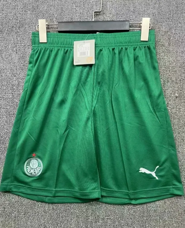 2025-26 Palmeiras Away Jersey - Fan Edition